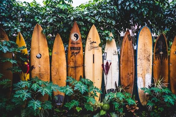 Conseils pour louer la planche de surf idéale